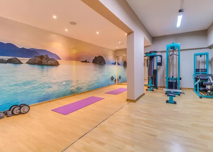 Pegasus-adult Friendly 3*