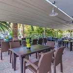 Pegasus-adult Friendly 3*