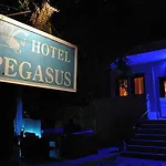 Pegasus-adult Friendly 3*