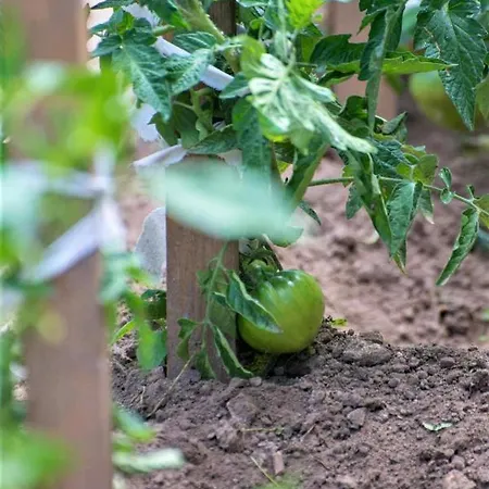 Hotell Pegasus-adult Friendly