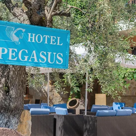 Pegasus-adult Friendly מלון