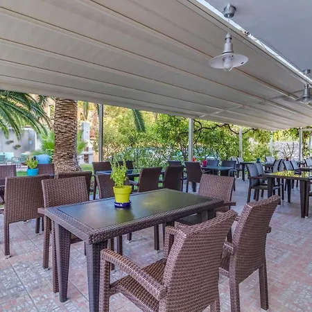 Pegasus-adult Friendly 3*