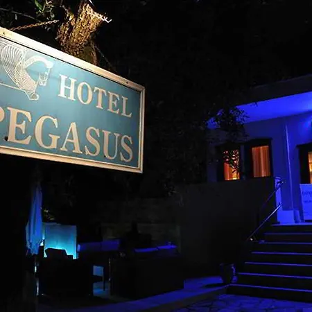 Pegasus-adult Friendly 3*